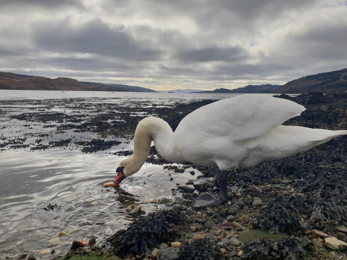 Quirky Lochside Home インヴェラレイ エクステリア 写真